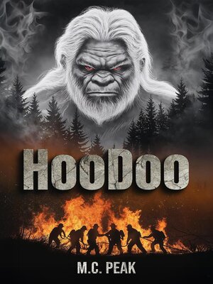 cover image of HooDoo